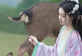 Beautyleg – 下载Siawase的美脚写真，高清图片展现精致生活的独特视角.txt