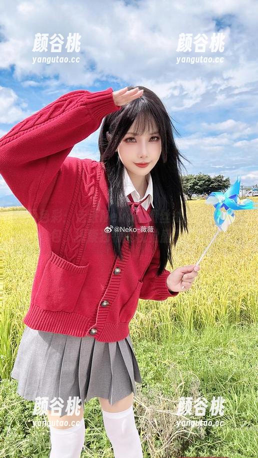 绚丽色彩：走进Neko薇薇丝绒女仆高清图包，探索独特的视觉盛宴.txt