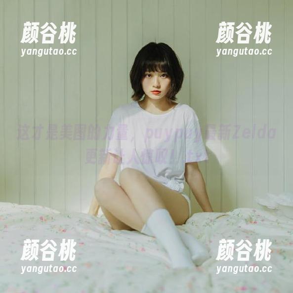 这才是美图的力量，puypuy最新Zelda更新让人惊叹！.txt