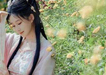 年年Nnian海上花全套图包，探索每一处风景背后的故事与情感.txt