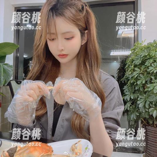灰丝之美：探索王羽杉写真图包合集中的独特魅力.txt